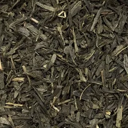 Sencha