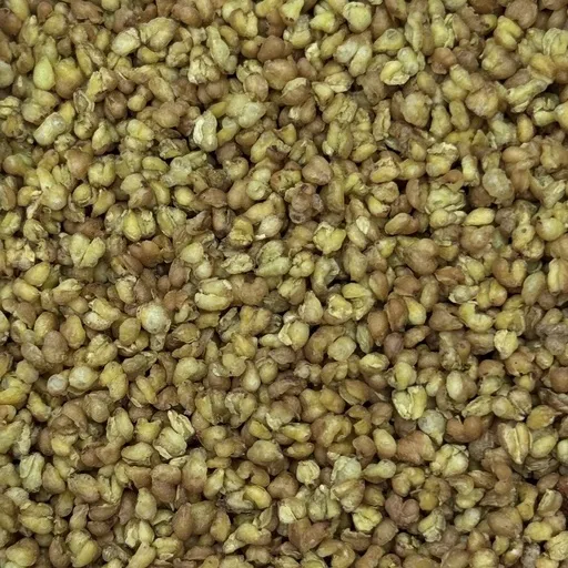 Гречишный чай Ку Цяо (необжаренный)
