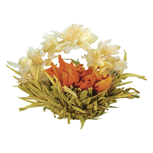 volshebniy-buton-500x500